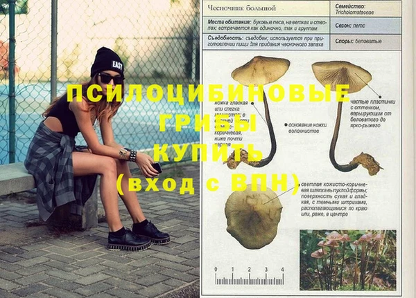 дживик Кодинск