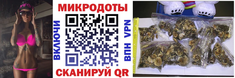 Галлюциногенные грибы MAGIC MUSHROOMS  Купить где  Курчалой 