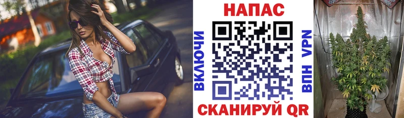 Конопля марихуана  Купить  Курчалой 